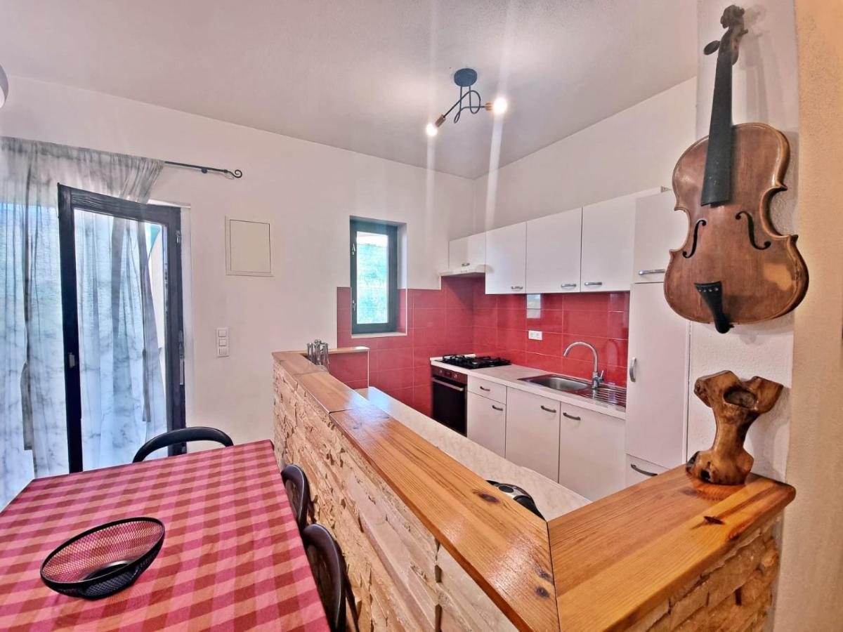 Apartman Irena With Terase End Private Parking Donji Okrug  Luaran gambar